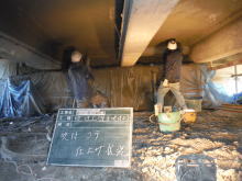 �\�ʃR�e�d�グ