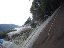 �A����ސ��t���H��