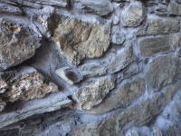 �����g��